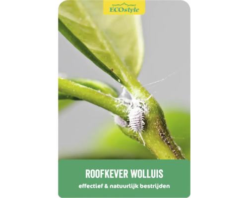 ECOSTYLE Roofkever tegen wolluis 25 st. goed voor 5 planten