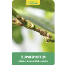 ECOSTYLE Sluipwesp tegen dopluis 25 st. goed voor 5 planten