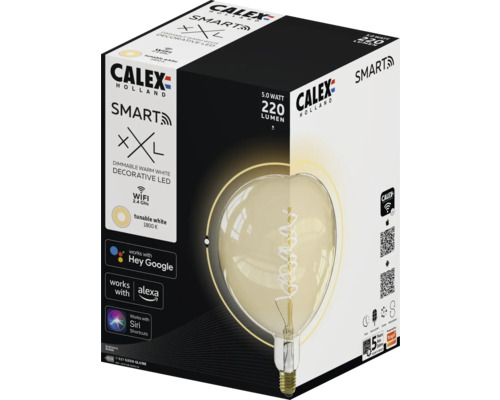 CALEX Smart LED filament lamp XXL E27/5W G200 goud