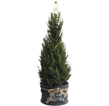 Kerstboom in pot met opschrift Vrolijk Kerstfeest