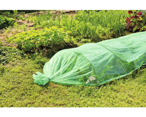 Tuinscene met een mini-kas om planten te beschermen