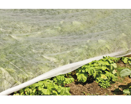 Groentebed met plantenbeschermingsdoek
