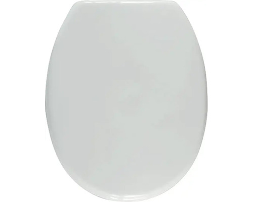 Toiletdeksel van kunststof