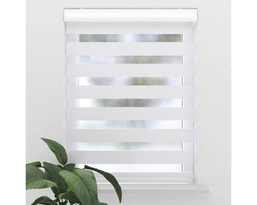 Raam met transparante rolgordijnen