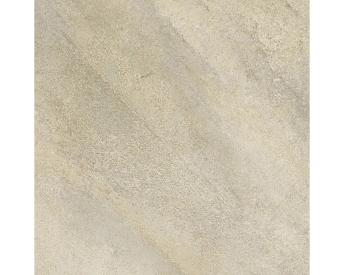 Wand- en vloertegel Buxy beige-grijs 61x61 cm