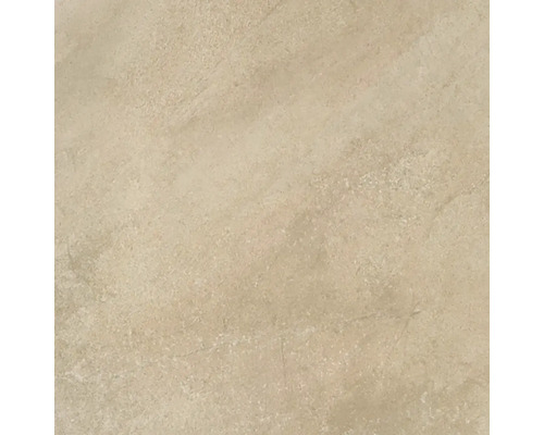 Wand- en vloertegel Buxy beige 61x61 cm