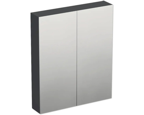 JUNGBORN Spiegelkast 2-deurs Trenta 60x72x14,4 cm antraciet mat