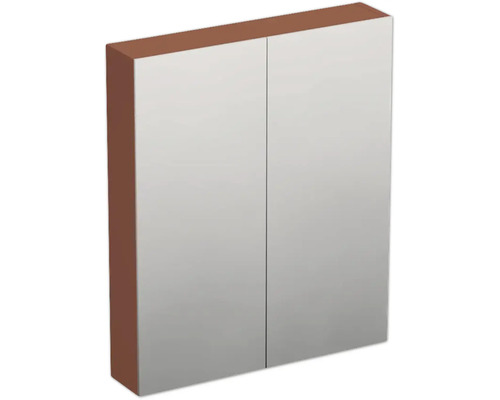 JUNGBORN Spiegelkast 2-deurs Trenta 60x72x14,4 cm cotto mat