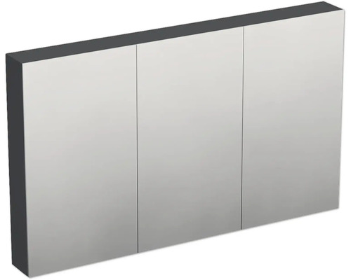 JUNGBORN Spiegelkast Trenta 72x120x14,4 cm antraciet mat