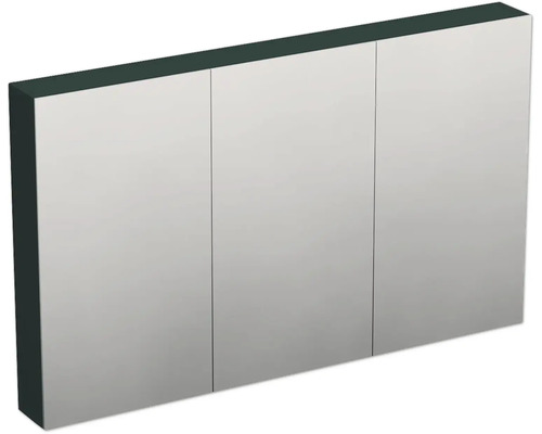 2.0 Spiegelkast | enkelzijdige spiegel | 80 cm | zwart | 2 deuren | LED verlichting | Sanitair Brabant
