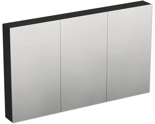 JUNGBORN Spiegelkast Trenta 72x120x14,4 cm zwart mat U129