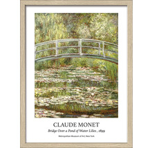 Ingelijste prent van Claude Monets Brug over een vijver met waterlelies, 1899