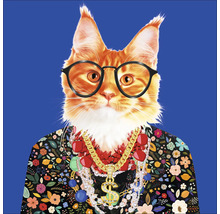 Illustratie van een kat met een bril, een bloemenhemd en halskettingen