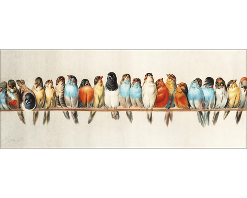 PURE LIVING Schilderij glas Vogels III 125x50 cm Illustratie van kleurrijke vogels op een stok