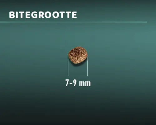 Voerbrok met een grootte van 7 tot 9 millimeter.