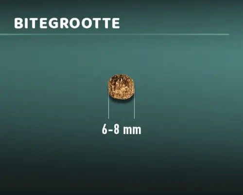 Voerbrokje met een grootte van 6 tot 8 millimeter