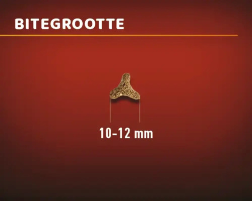 Brokgrootte van diervoeding, 10 tot 12 millimeter