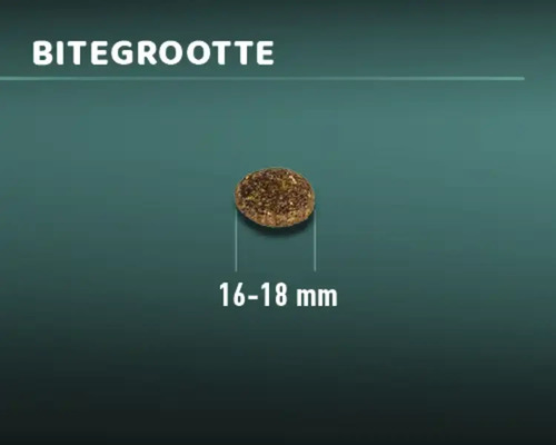 Voerbrok met een grootte van 16 tot 18 millimeter