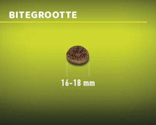 Individueel stuk droogvoer met een grootte van 16 tot 18 mm