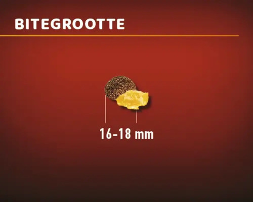 Voerbrokgrootte 16 tot 18 millimeter