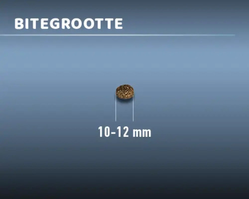 Voerbrokgrootte 10 tot 12 millimeter