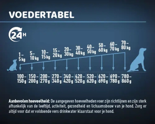 Voedingstabel voor honden met aanbevolen dagelijkse hoeveelheden