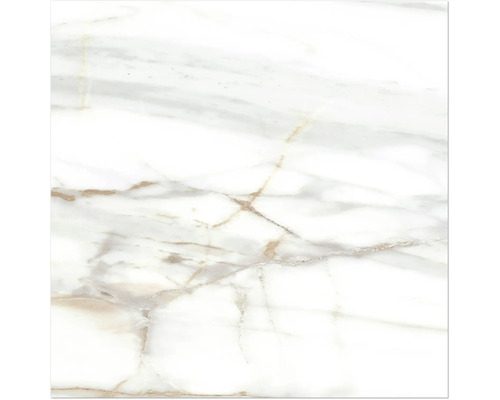 MIRAVA Wand- en vloertegel LUCCA Bianco goud gepolijst 60 x 60 x 0,9 cm gerectificeerd