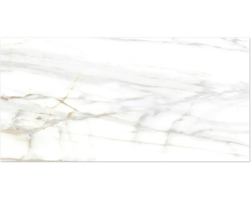 MIRAVA Wand- en vloertegel LUCCA Bianco goud gepolijst 60 x 120 x 0,9 cm gerectificeerd