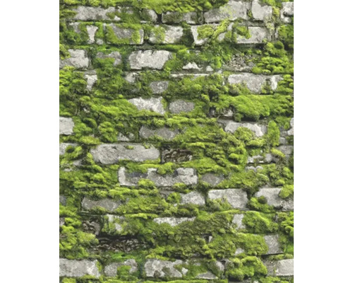 MARBURG Vliesbehang 45731 steenoptiek natuur groen