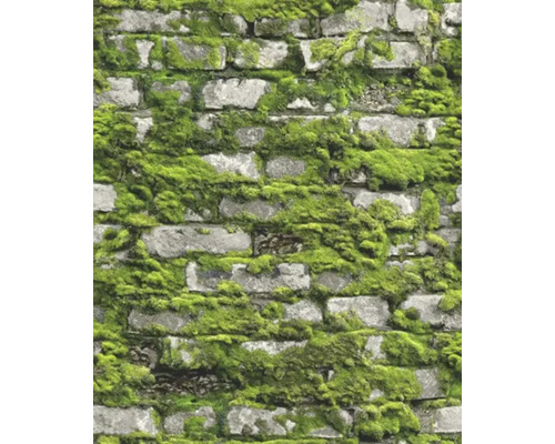 MARBURG Vliesbehang 45731 steenoptiek natuur groen Behang met steenmuur en mosmotief