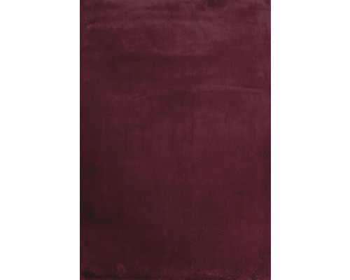 SOLEVITO Vloerkleed Romance rood 160x230 cm