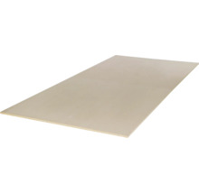 Spaanplaat 10 mm 125x62 cm