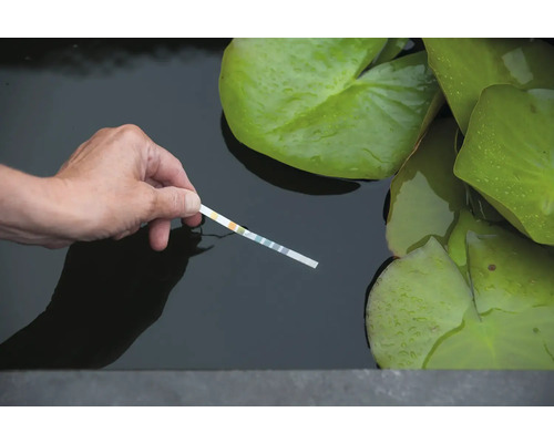 Een hand houdt een teststrip voor wateranalyse vast in de buurt van waterleliebladeren in een vijver.