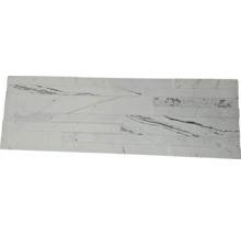 Decoratieve plaat met steenmotief