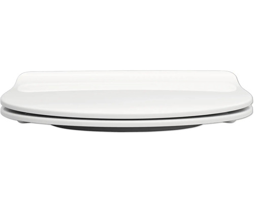 Toiletdeksel van sanitair keramiek