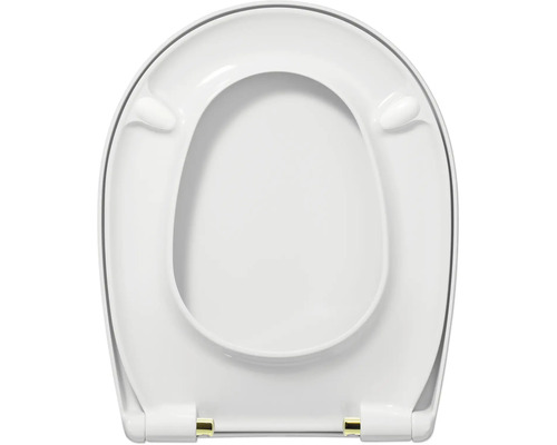 Toiletdeksel van kunststof