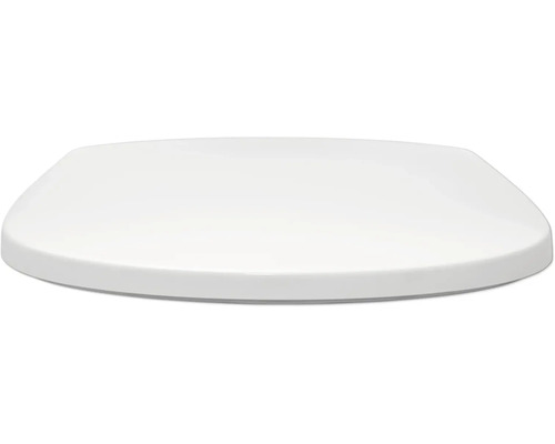 Toiletdeksel van keramiek