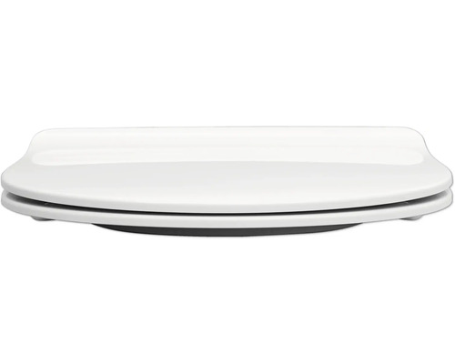 Toiletdeksel van sanitair keramiek