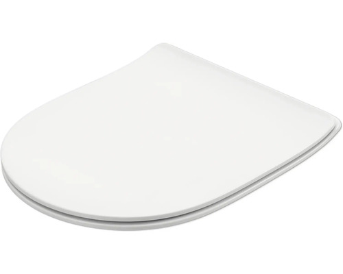 Toiletdeksel van kunststof