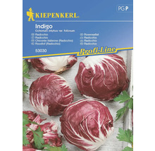 Kiepenkerl Indigo Radicchio zadenpakket