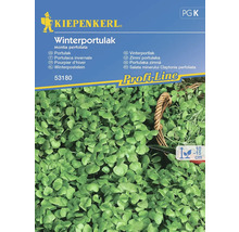 Kiepenkerl Winterpostelein zadenpakket
