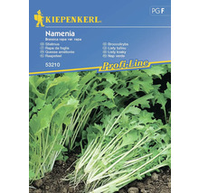 KIEPENKERL Groentezaden Raapstelen Namenia