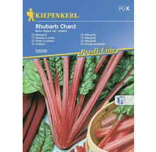 KIEPENKERL Groentezaden Snijbiet Rhubarb Chard 50 st.