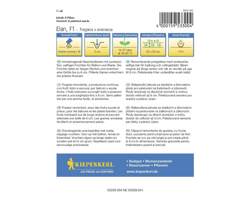 Aardbeizadenpakket Elan F1 voor binnenshuis