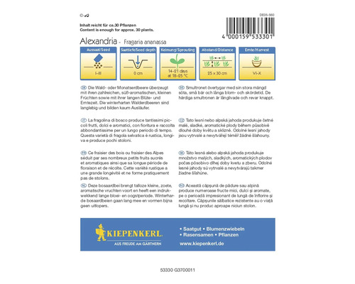 Kiepenkerl Alexandria Fragaria Ananassa aardbeienzaden verpakking