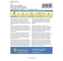 Muscat de Provence pompoen zadenpakket