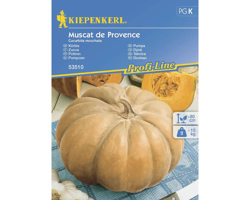 KIEPENKERL Groentezaden Pompoen Muscat De Provence 10 st.