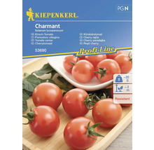 KIEPENKERL Groentezaden Cherrytomaat Charmant 10 st.