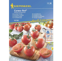 Kiepenkerl Curaso Rot Cocktailtomatenzaden