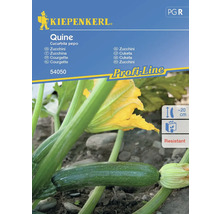 Kiepenkerl Quine courgette zadenpakket